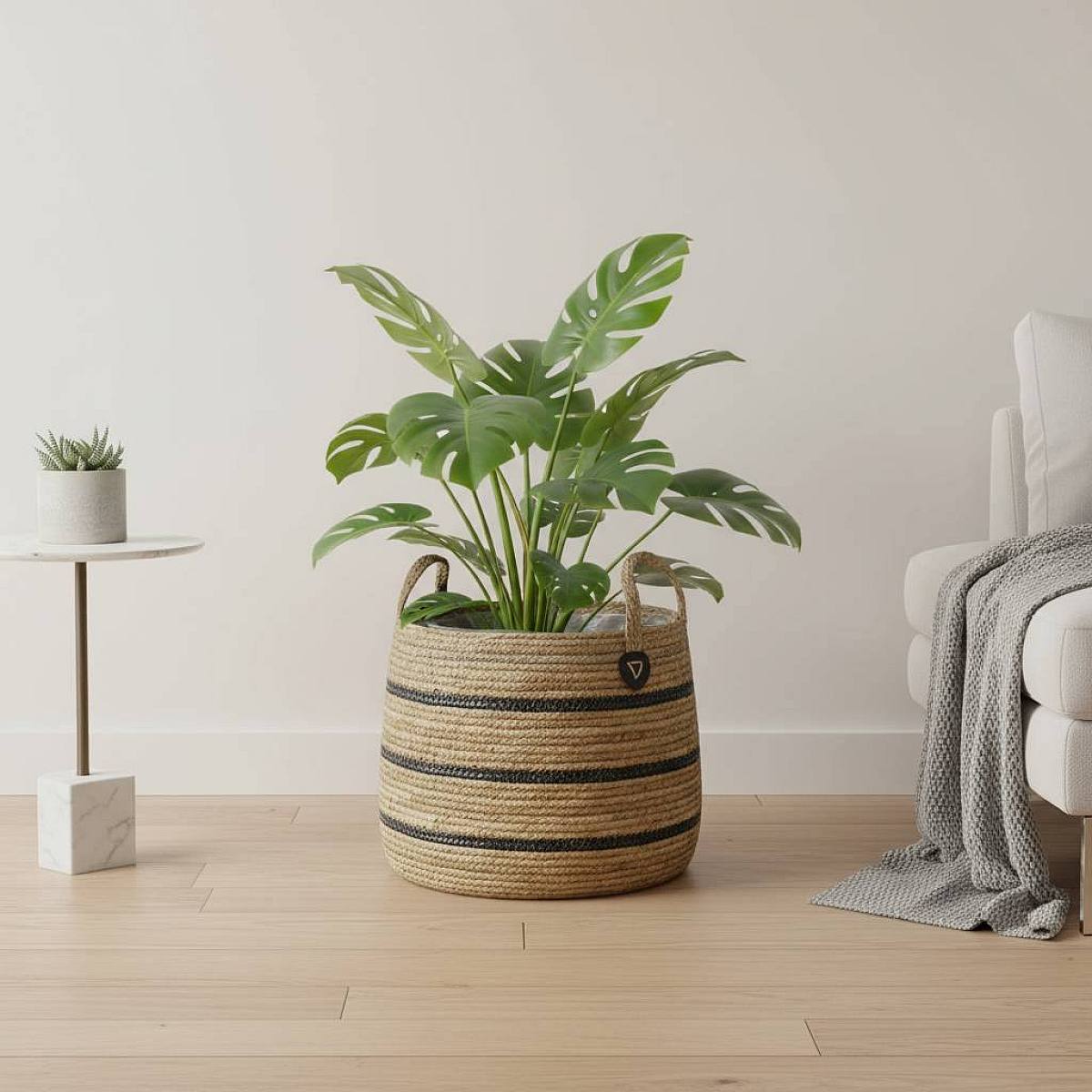 Isla Černý Koš D42 picture 2