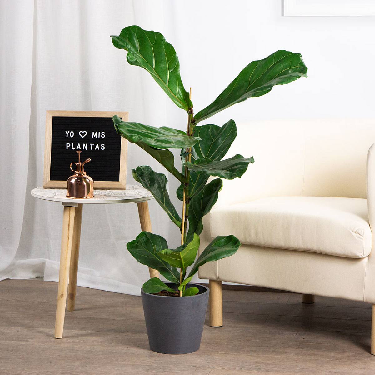 Sázecí květináč Amsterdam - D/18cm picture 2