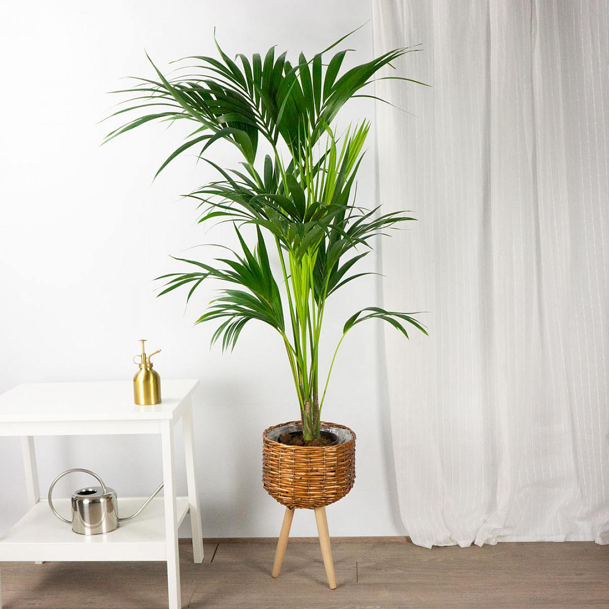 Vaso Tulum - XL/22cm picture 3