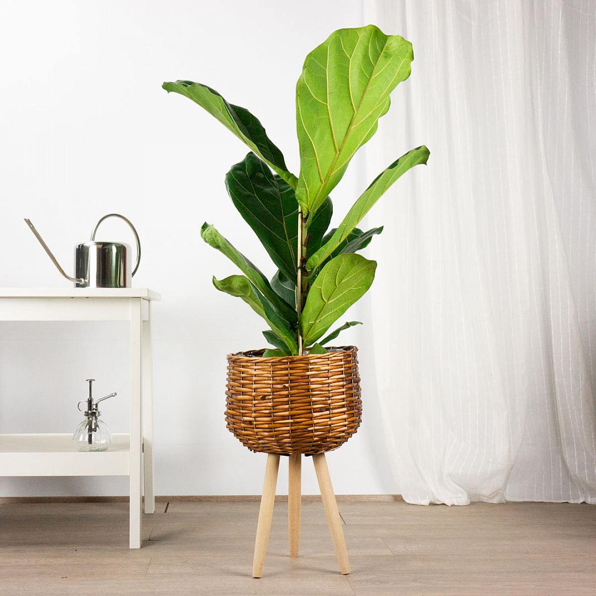 Vaso Tulum - XL/22cm picture 4