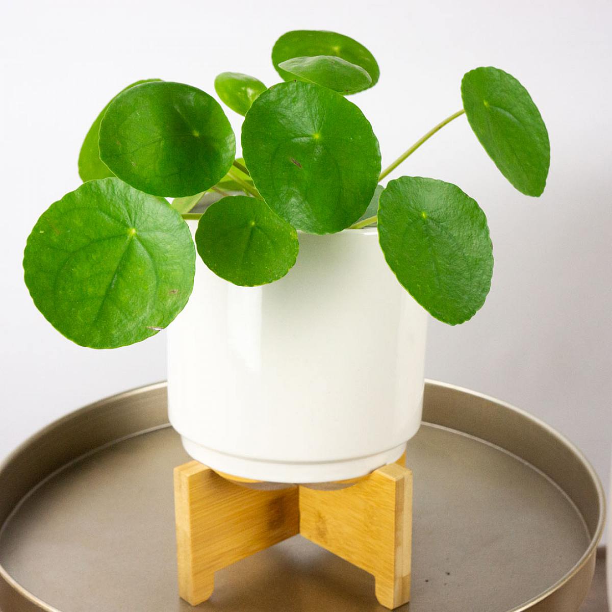 Helsinki Planter - M/15cm picture 2