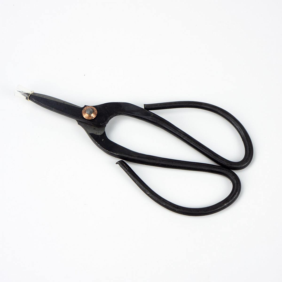 Botanical scissors picture 0