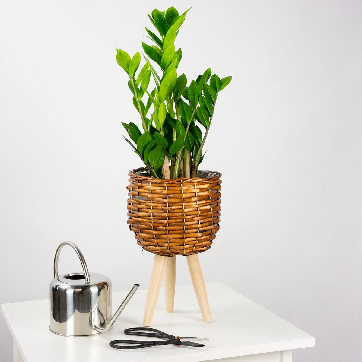 Botanical scissors picture 2