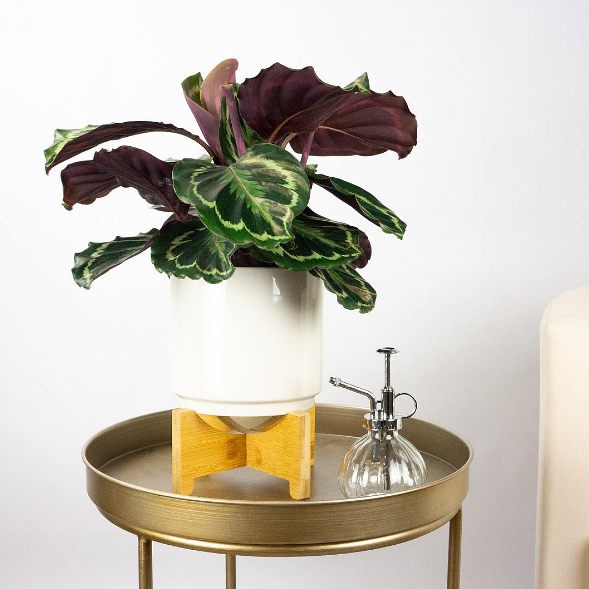 Pulvérisateur en verre - Transparent picture 2