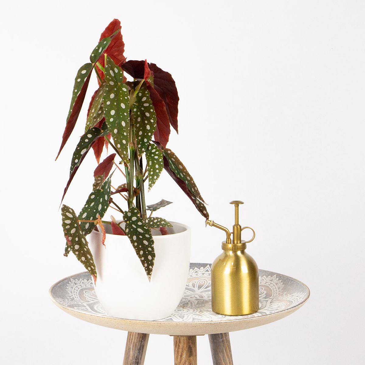 Rozmělňovač mědi picture 1