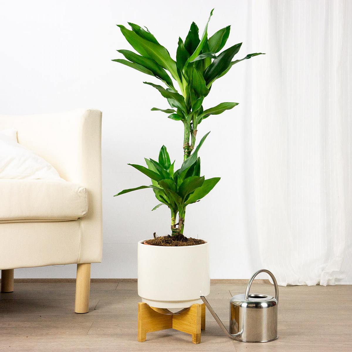 Лейка из нержавеющей стали picture 1