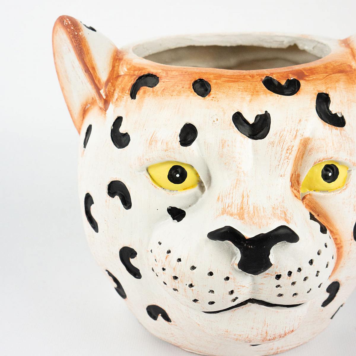 Plantadora de Samoa - S/12cm picture 3