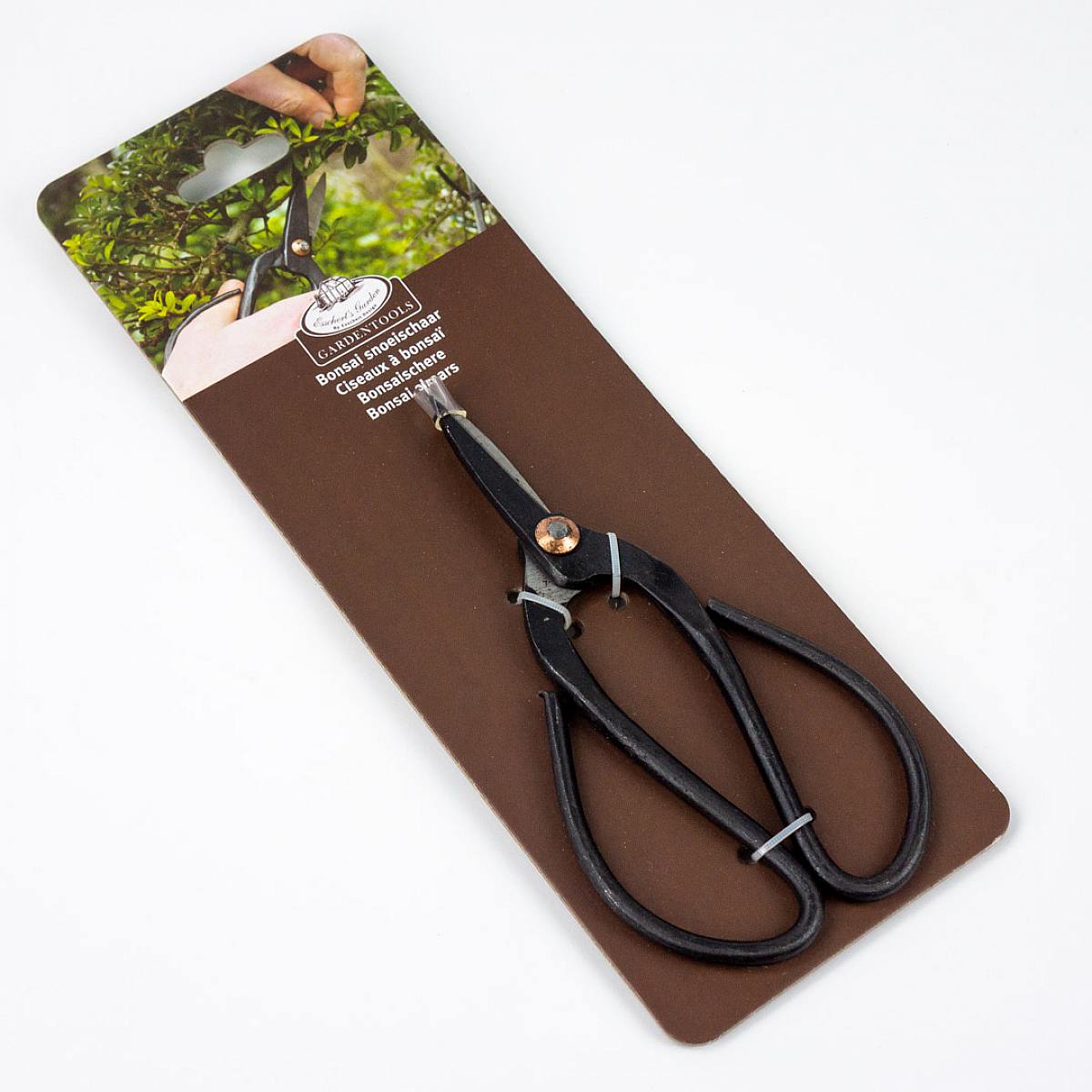 Botanical scissors picture 1