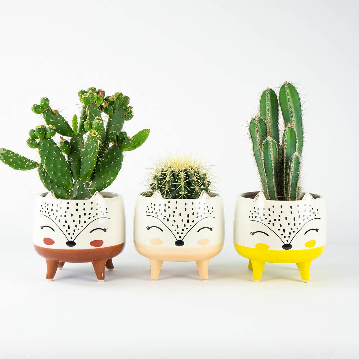 Trio af Fauna-planter - S/12cm picture 1