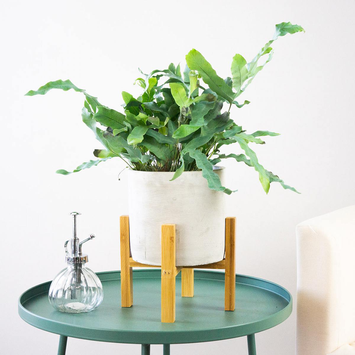 Sázecí květináč Georgia - M/15cm picture 2