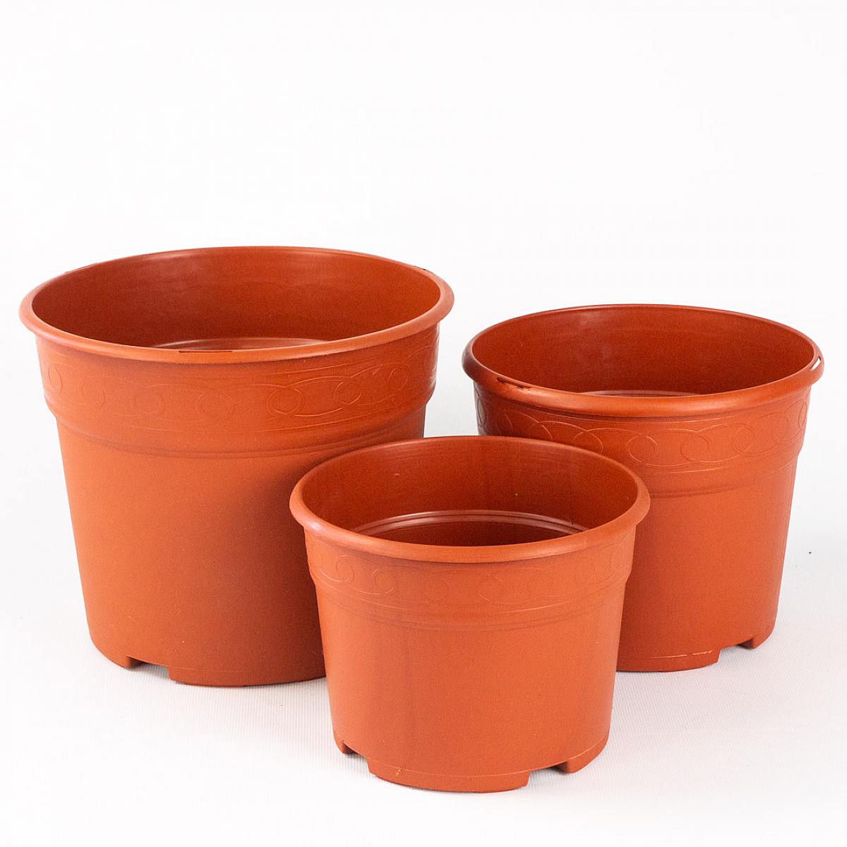 Sada péče: Siempre Sana picture 1