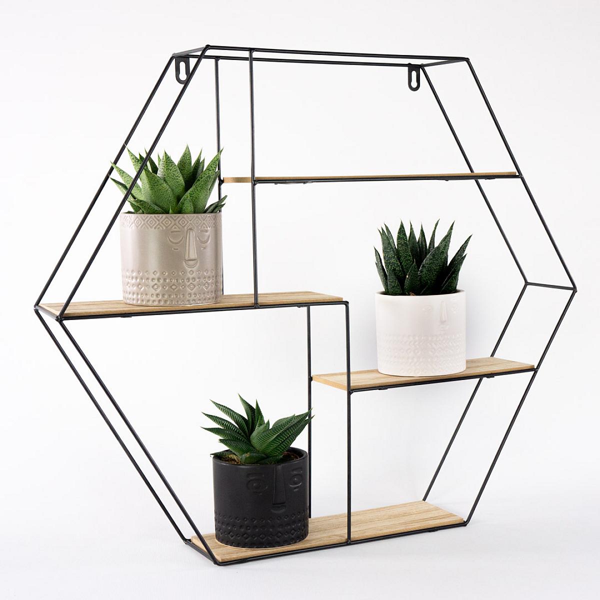 Trio Suculento com Plantador picture 1