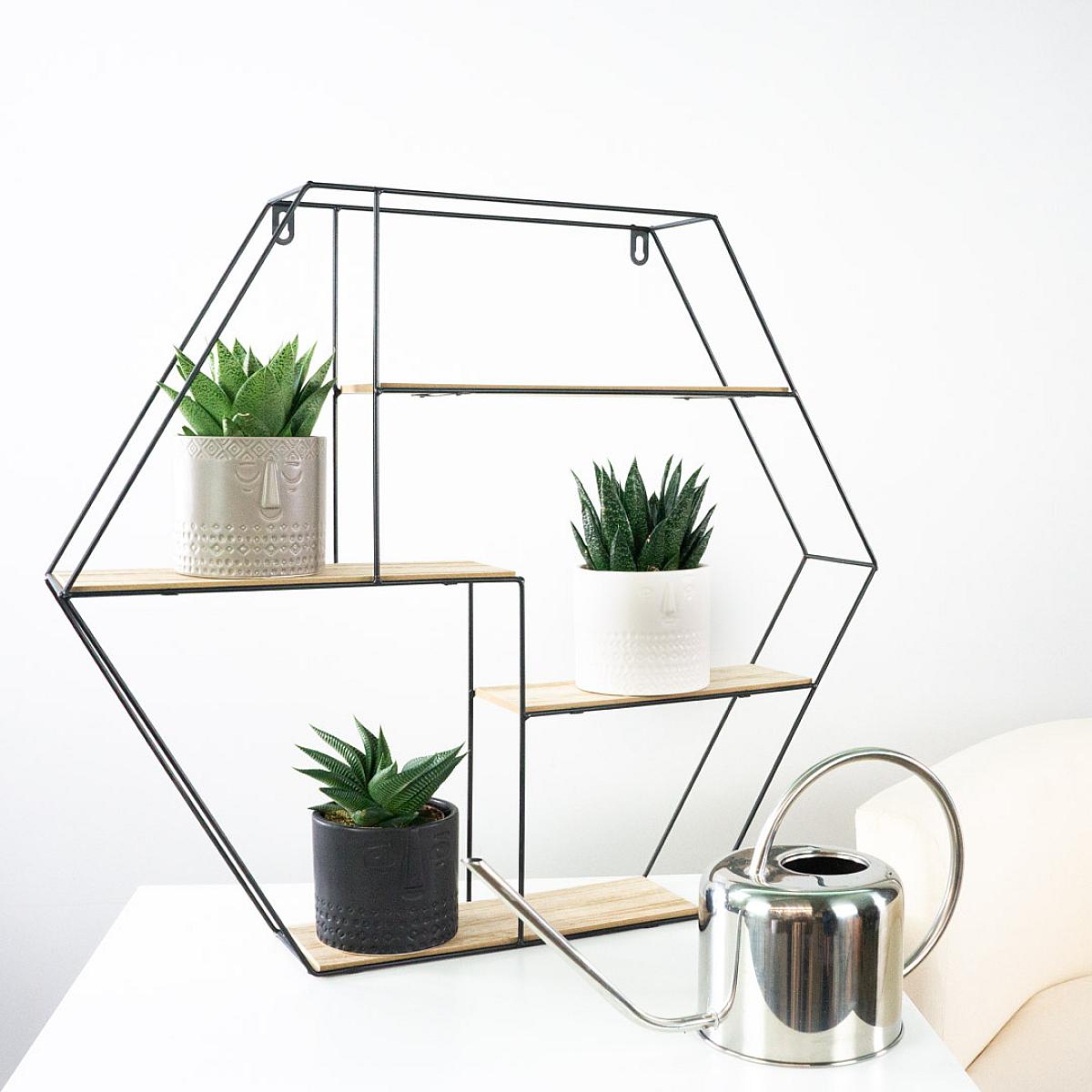 Trio Suculento com Plantador picture 3