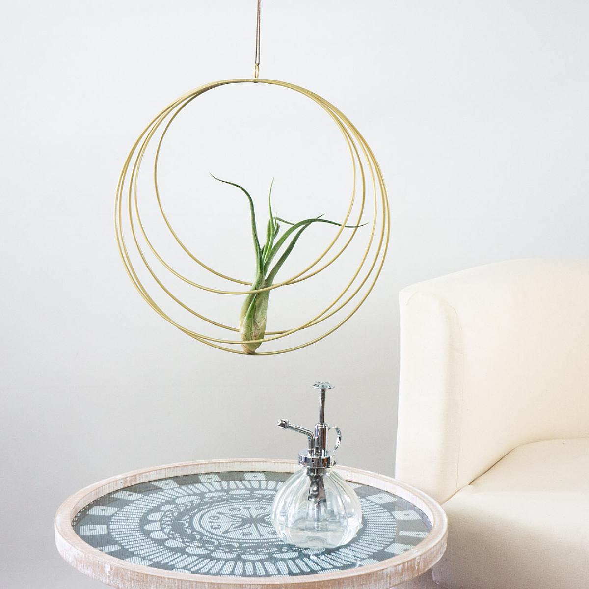 Úplňková sada: Obří vzdušná rostlina picture 1