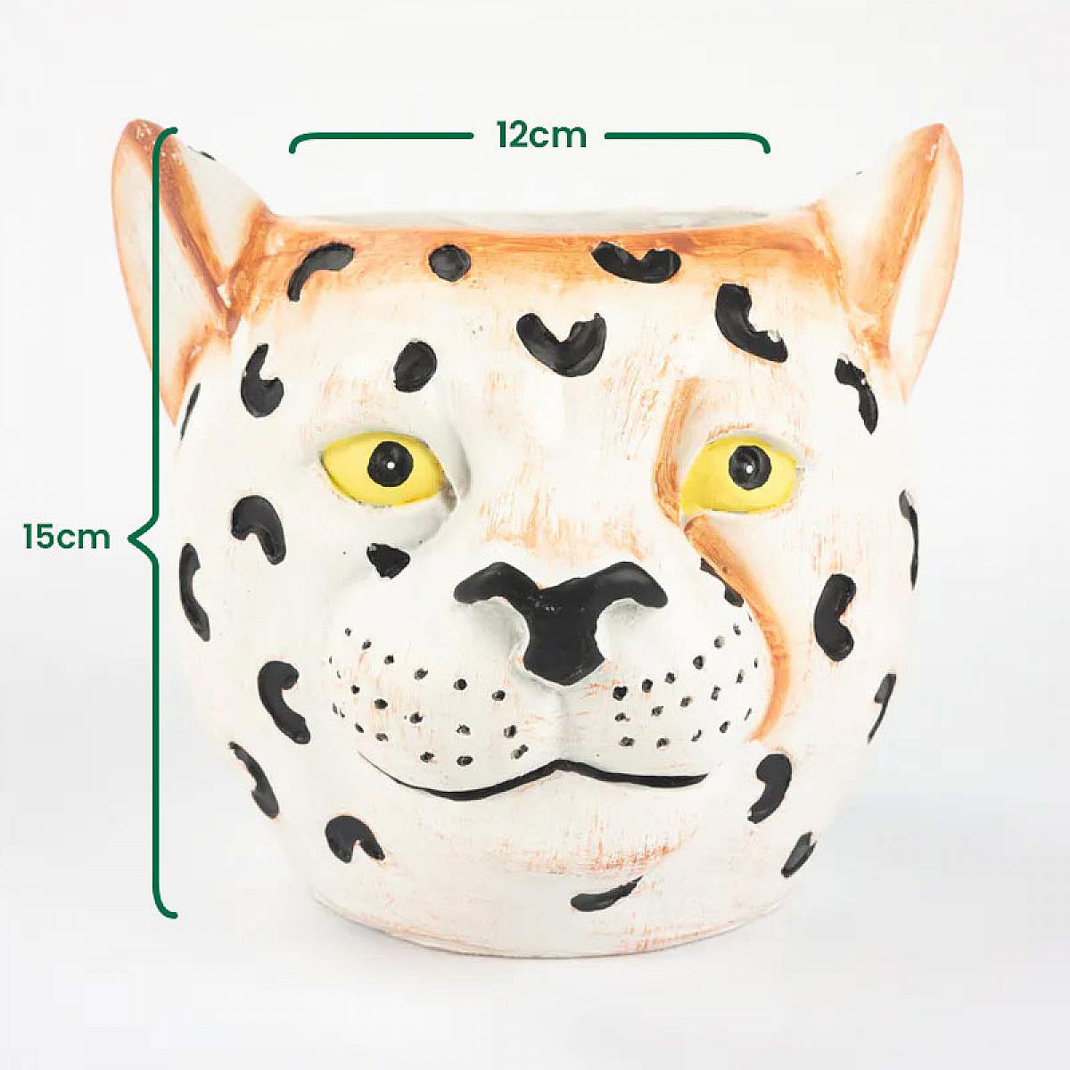 Plantadora de Samoa - S/12cm picture 1