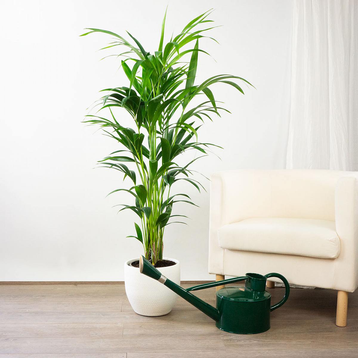 Očistná a relaxační sada picture 3