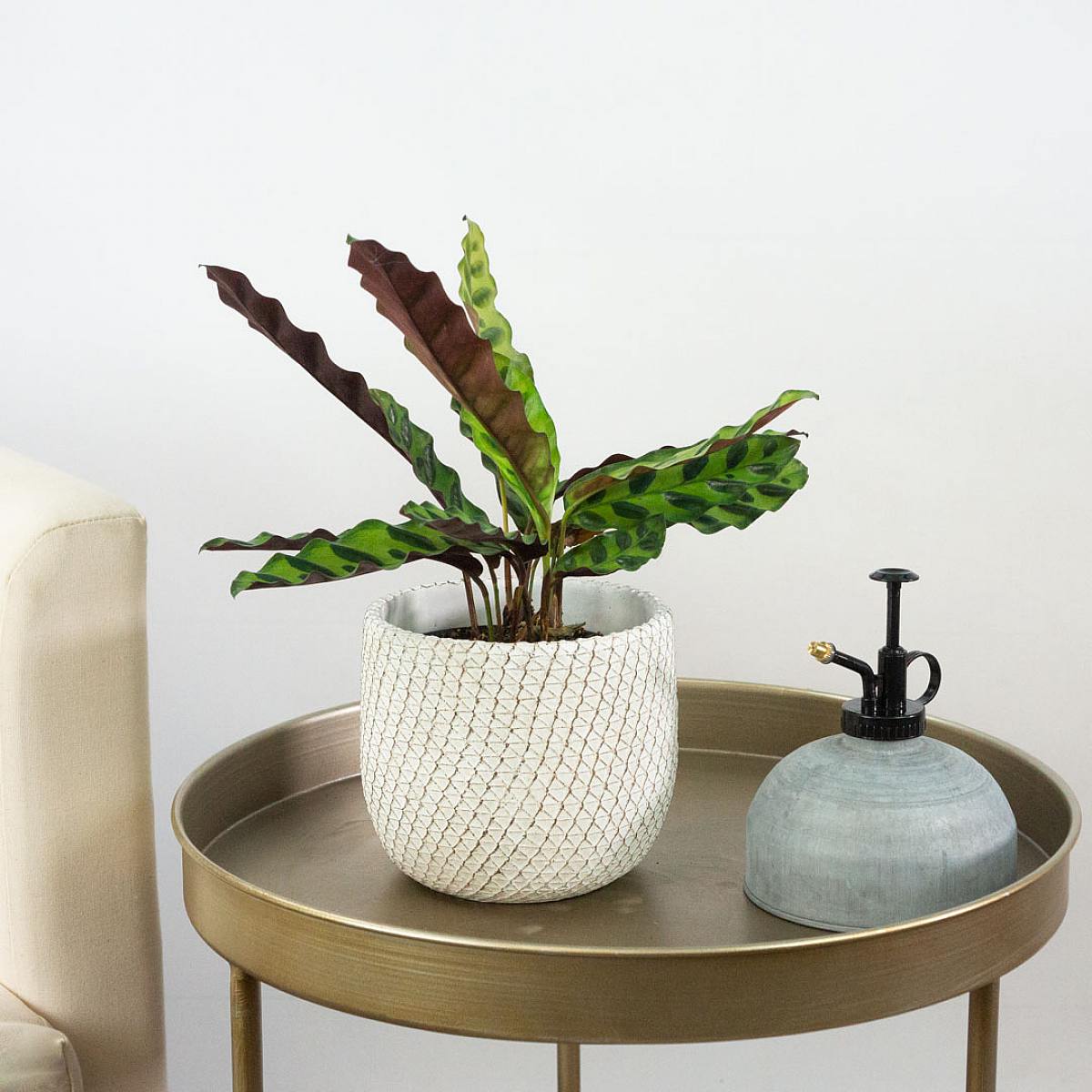 Sprayer Greece picture 1