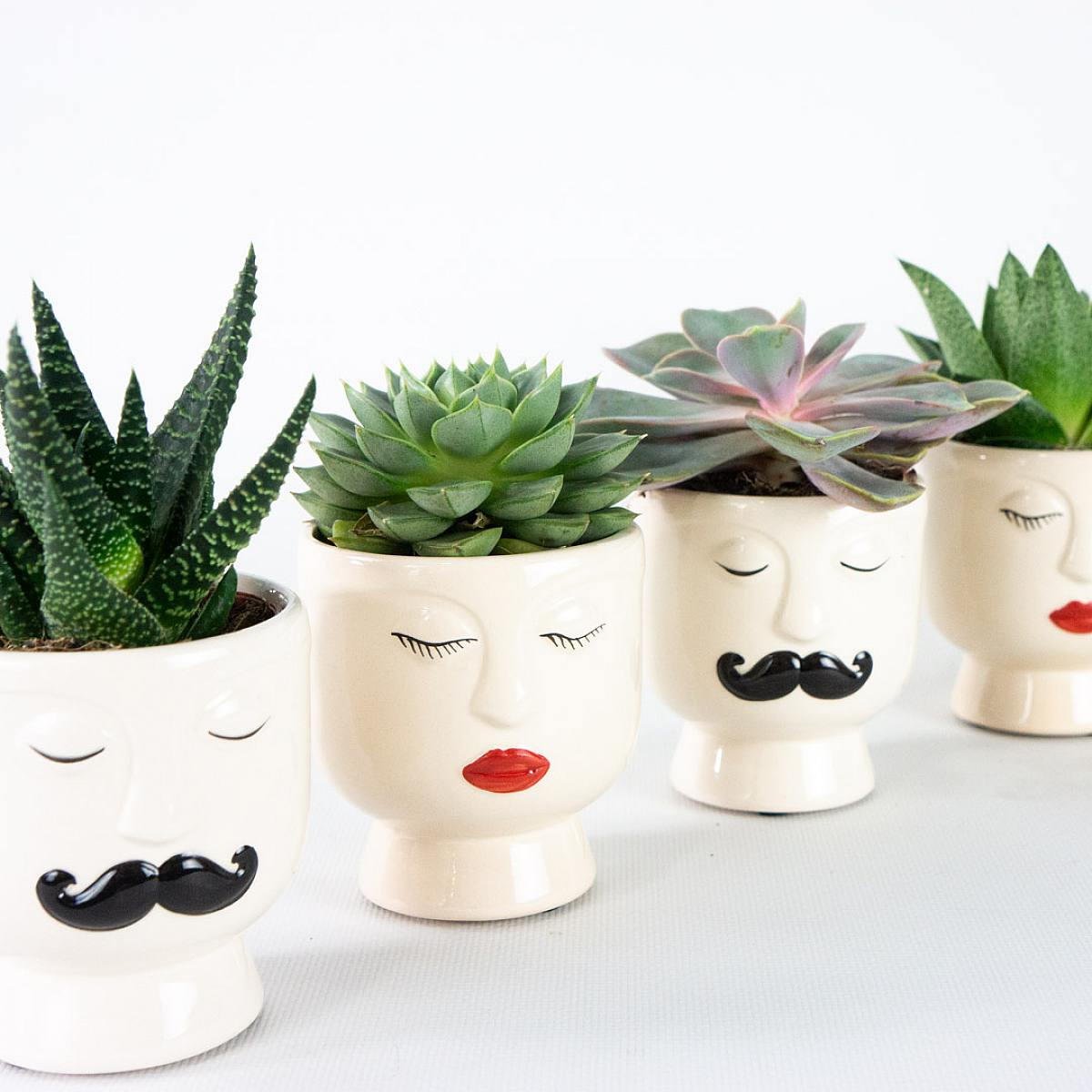 Duo Noordpool picture 3