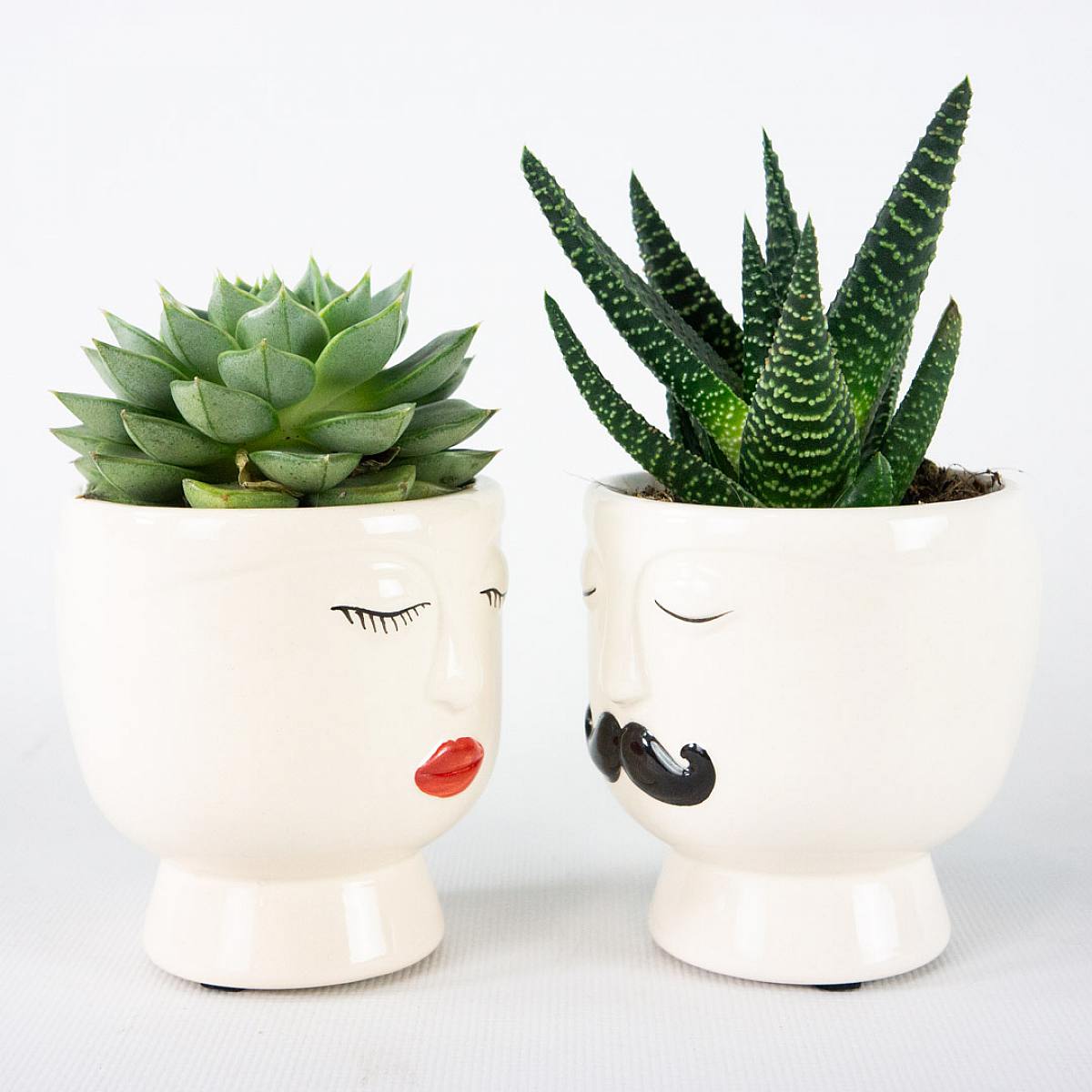 Duo Noordpool picture 4