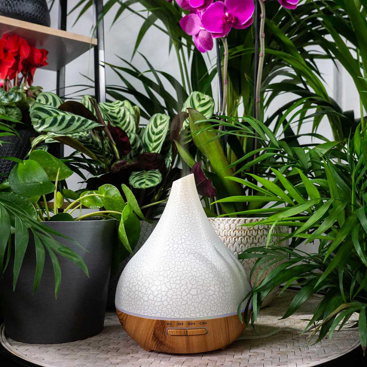 Zvlhčovač vzduchu LED picture 1