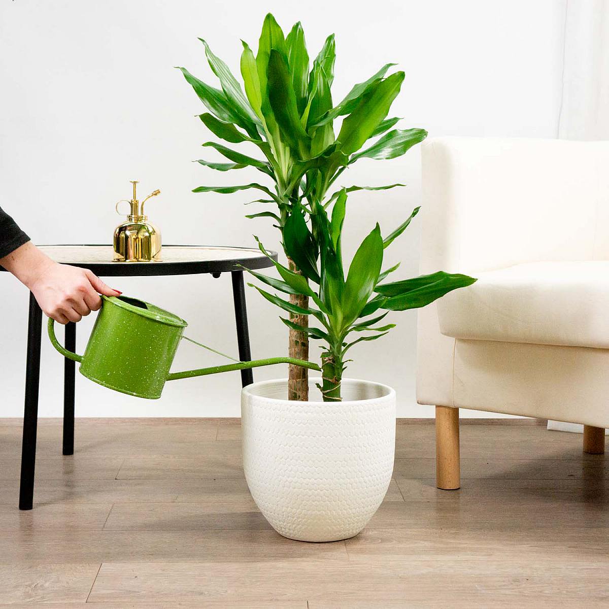 Guldpulveriseringsmaskine picture 2