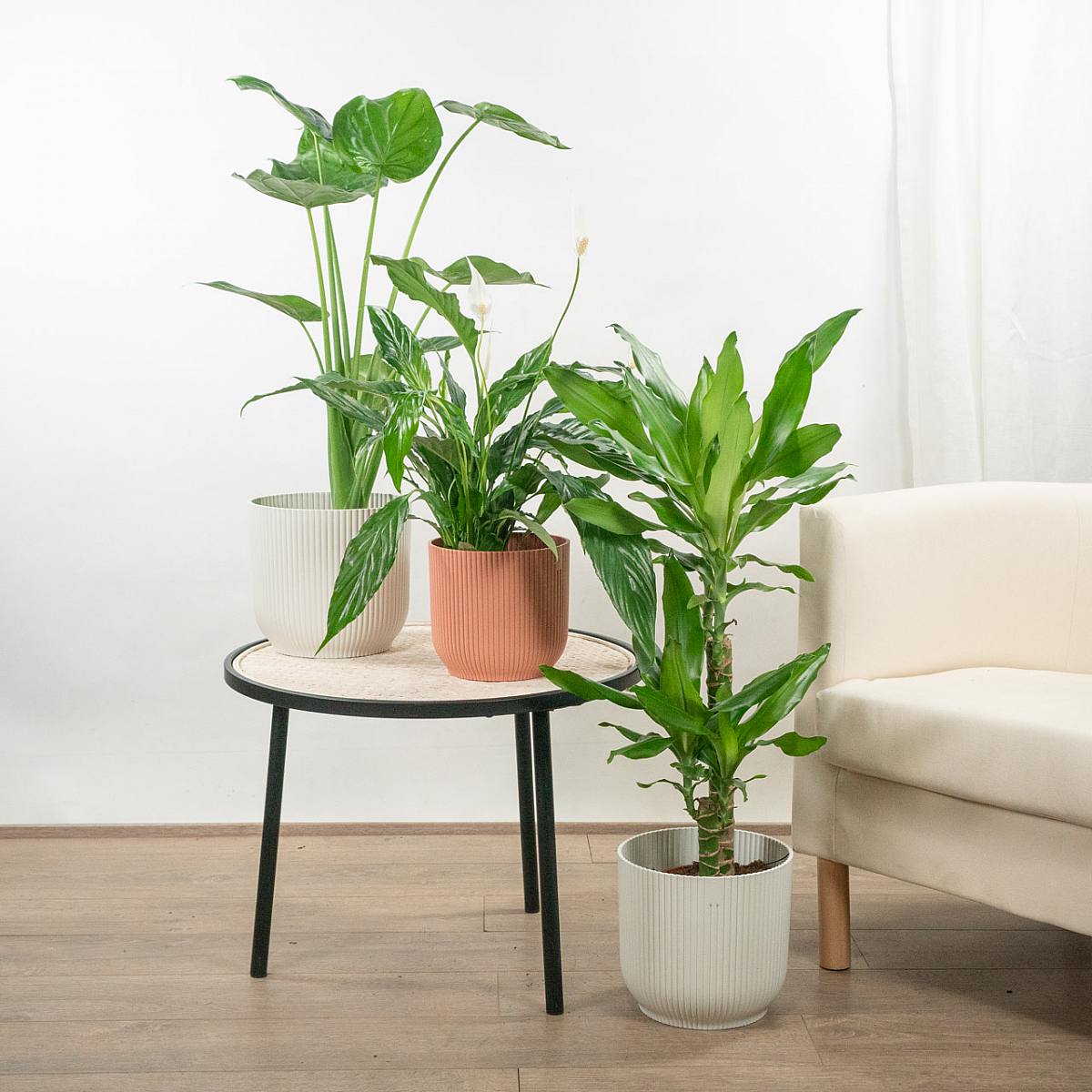 Trio Vasi Nordic XL picture 1