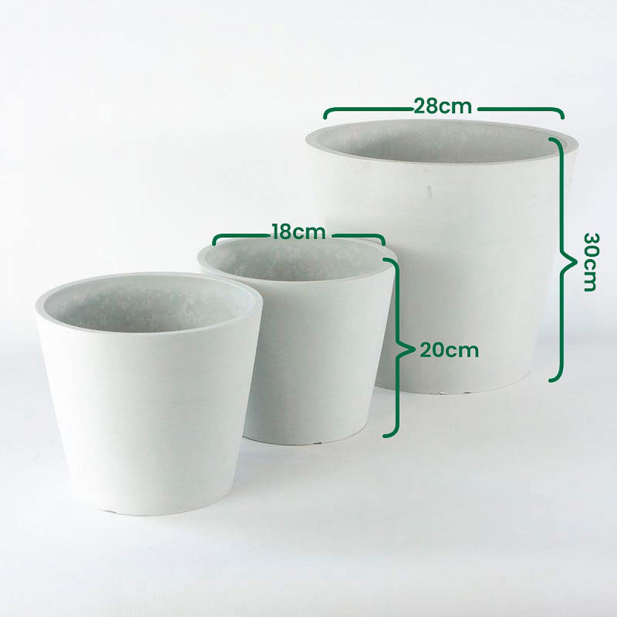 Amsterdam ECO Trio de Plantadores picture 2