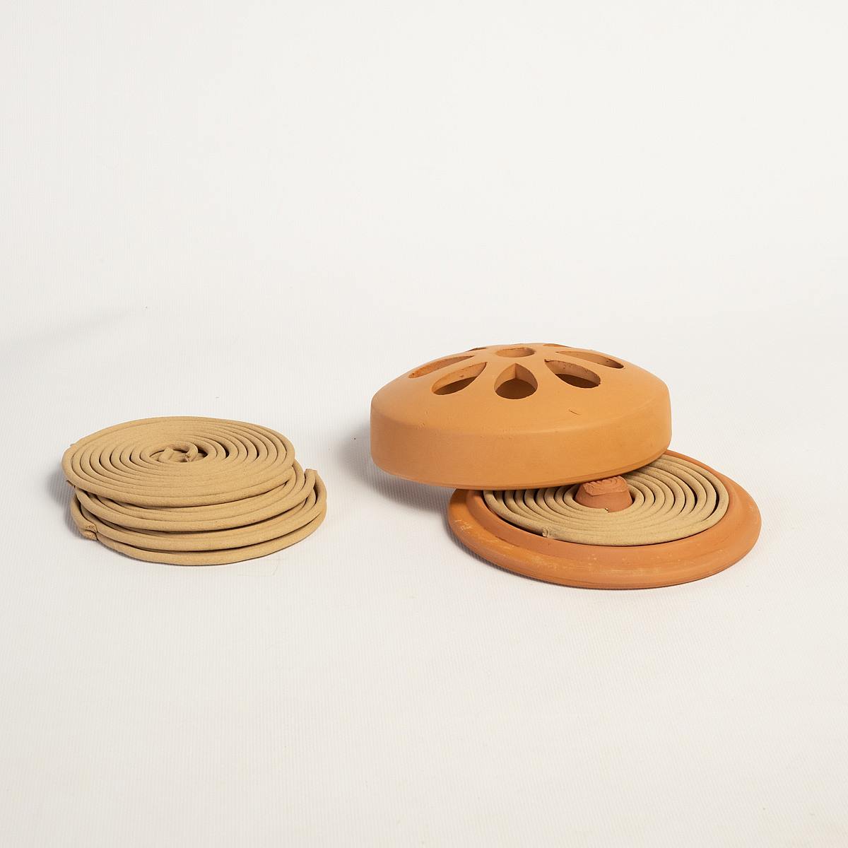 Citronella in Terracotta picture 2