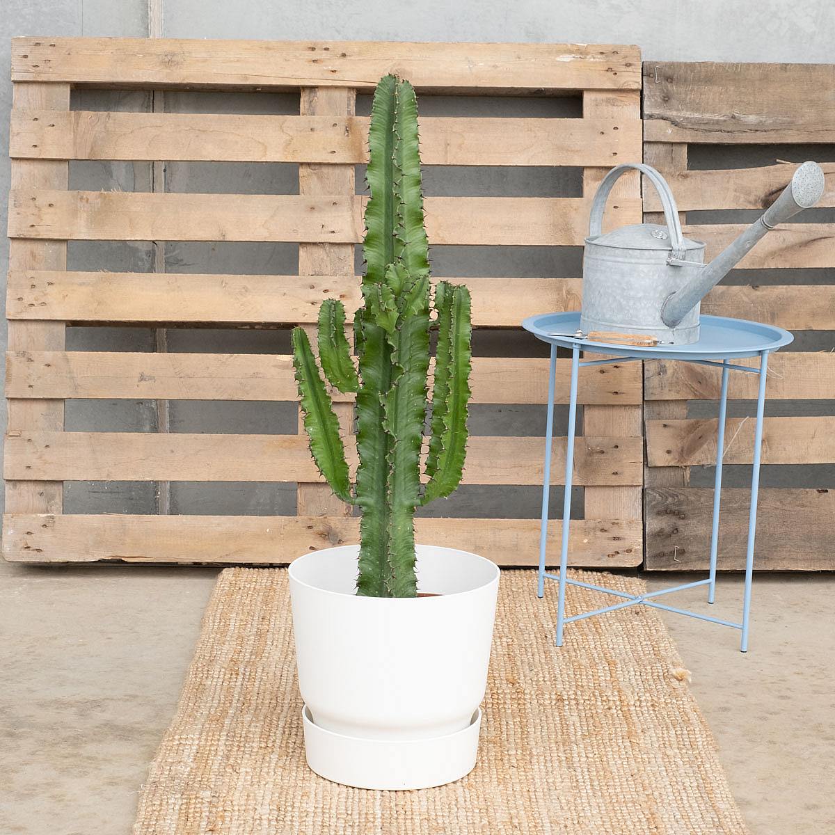 Podstavec Charlotte XXL/30xm picture 6