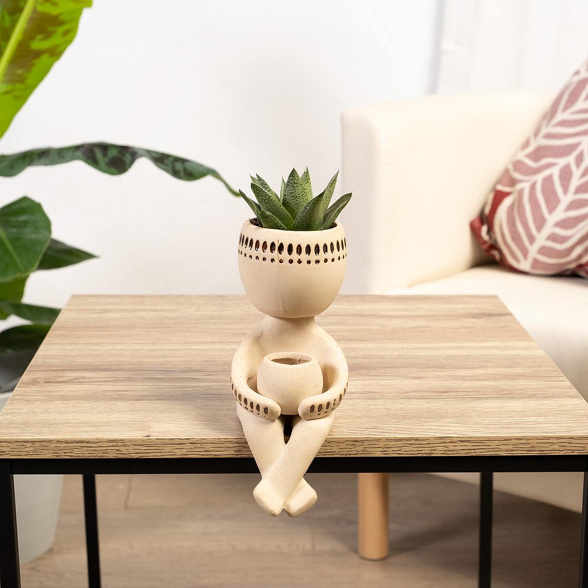 Indický květináč se sukulenty picture 3