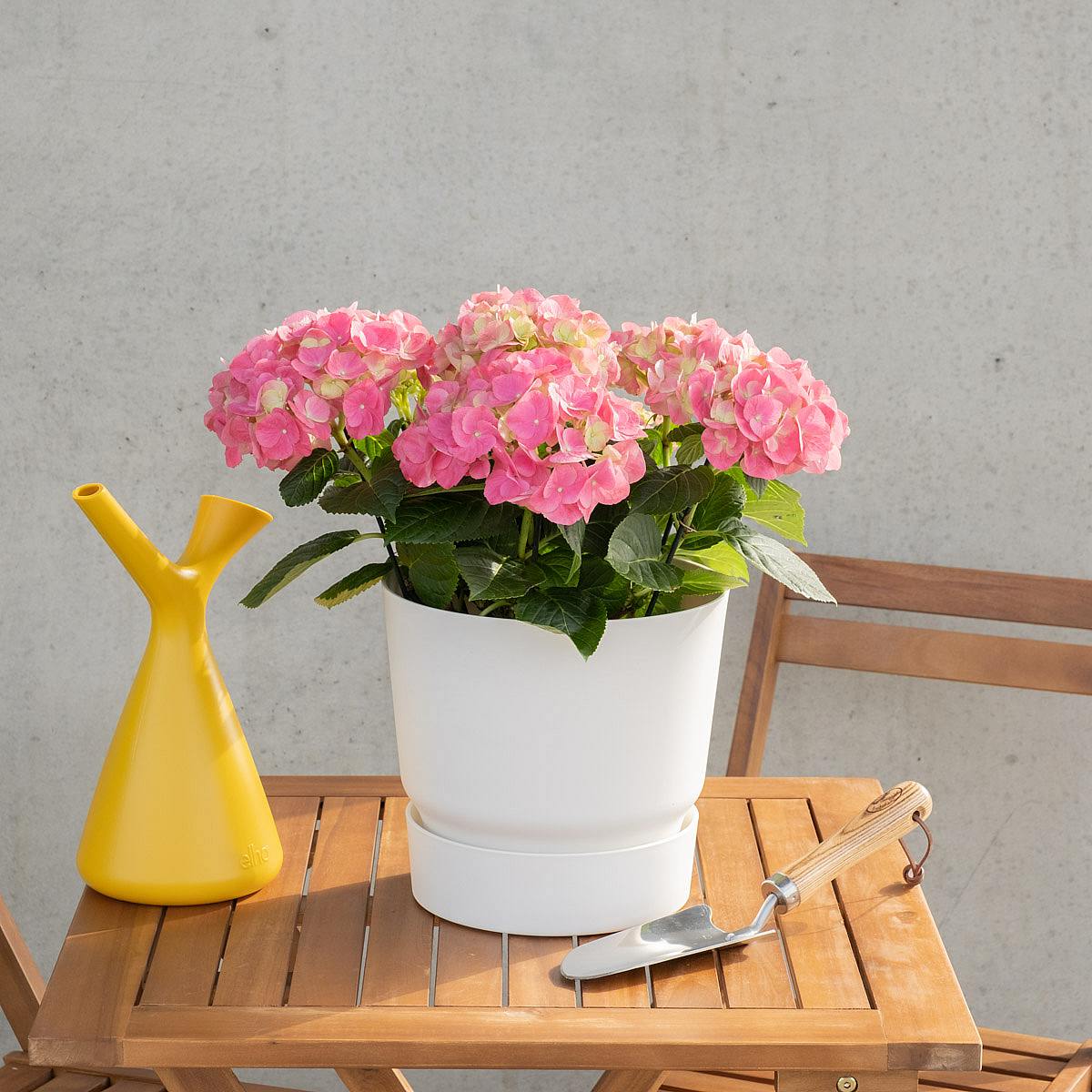 Botanická lopata picture 2