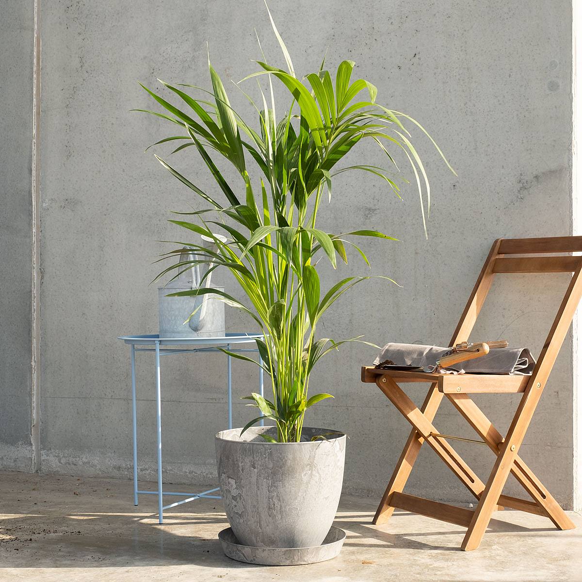 Flowerpot Verona - XXL/28cm picture 3