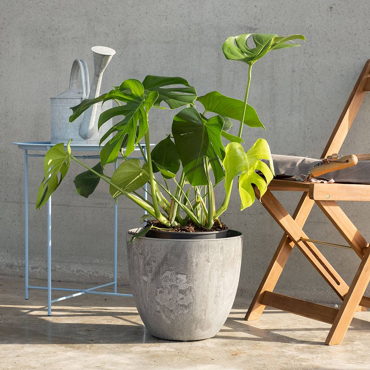 Flowerpot Verona - XXL/28cm picture 4