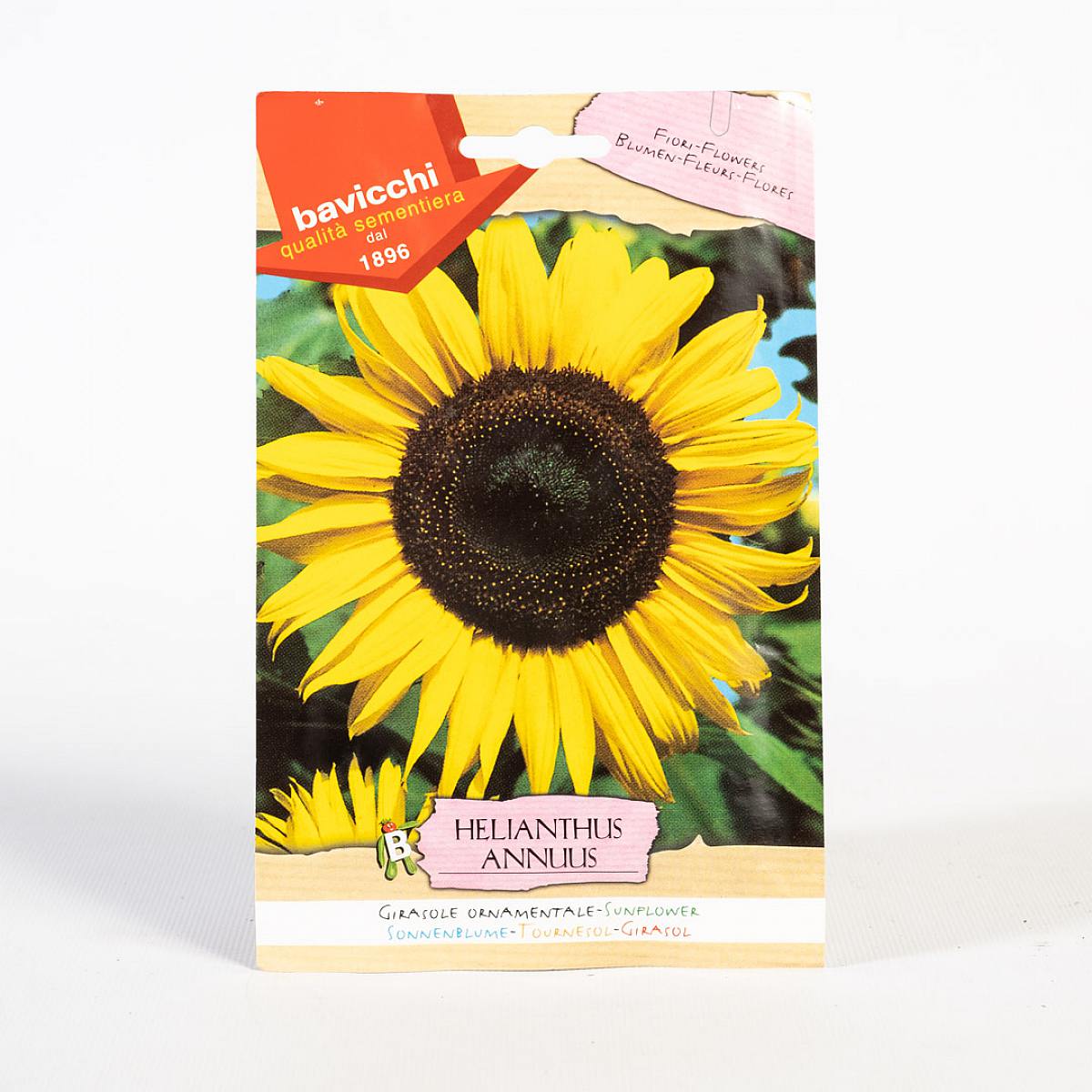 Solrosfrön picture 0