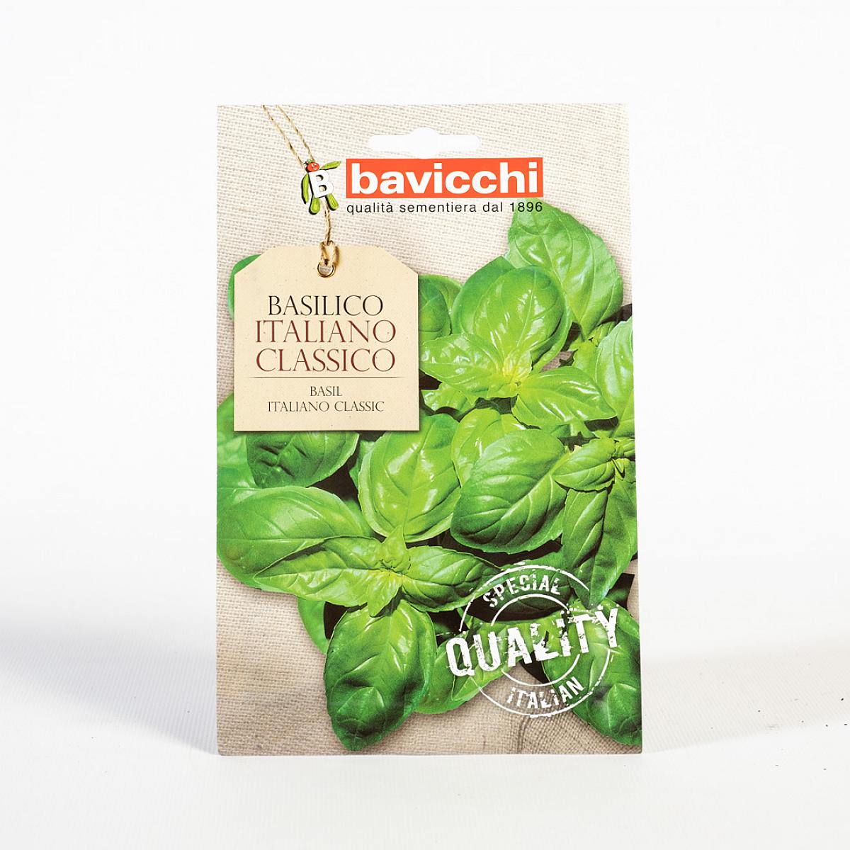 Graines de basilic picture 0