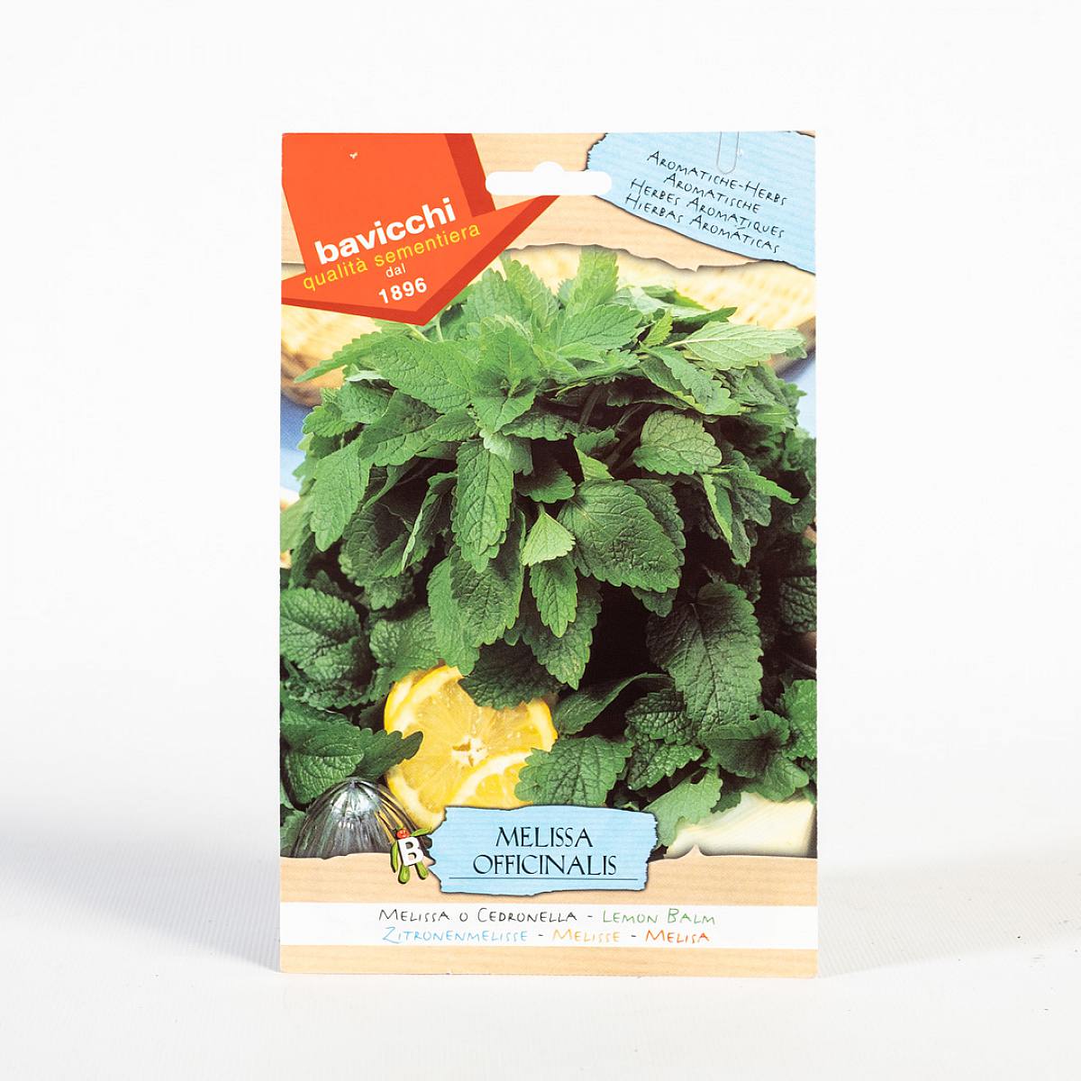 Graines de menthe picture 0