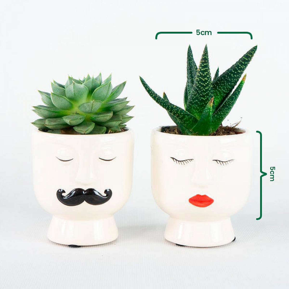 Duo Noordpool picture 5