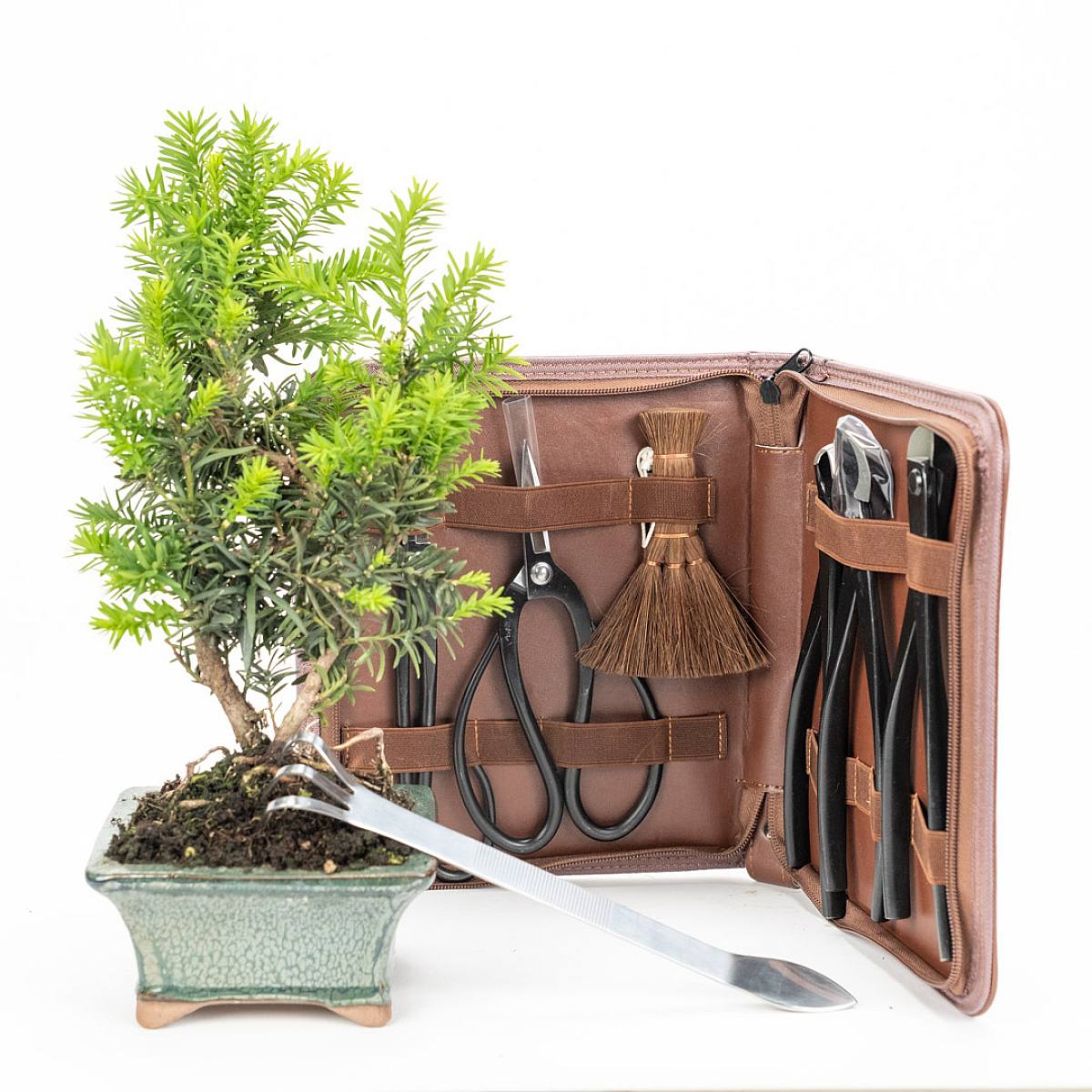 Sada nástrojů pro bonsaje RYUGA picture 1