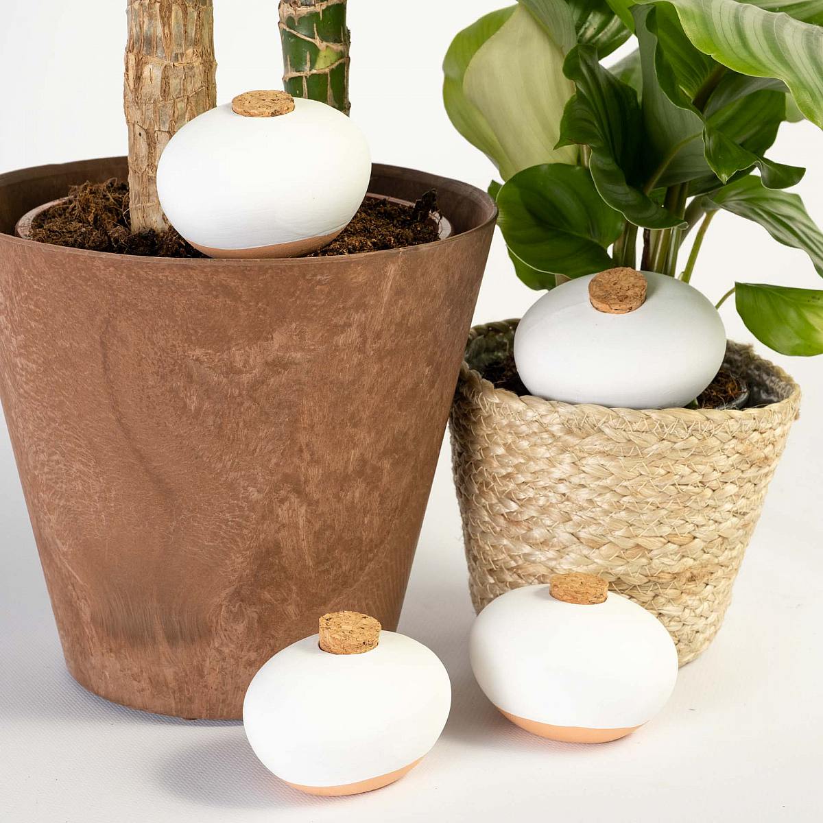 Pack 4 Terracotta Self-watering Spheres picture 0