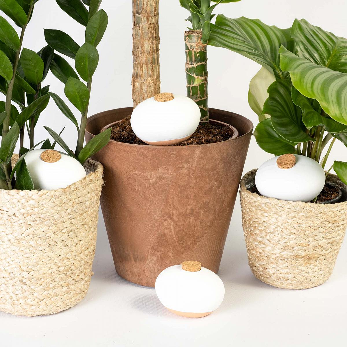 Pack 4 Terracotta Self-watering Spheres picture 1