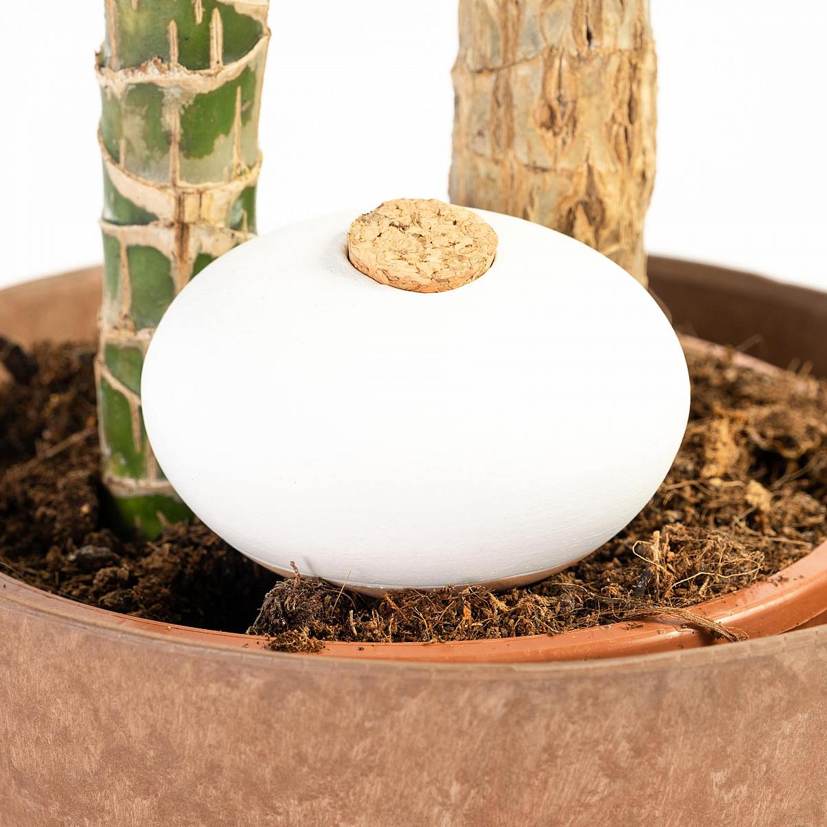 Pack 4 Terracotta Self-watering Spheres picture 4