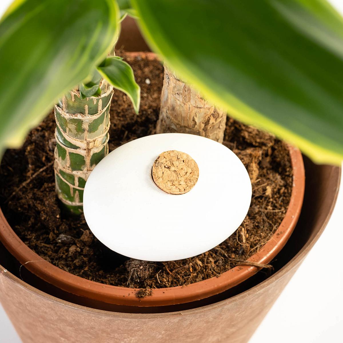 Pack 4 Terracotta Self-watering Spheres picture 5