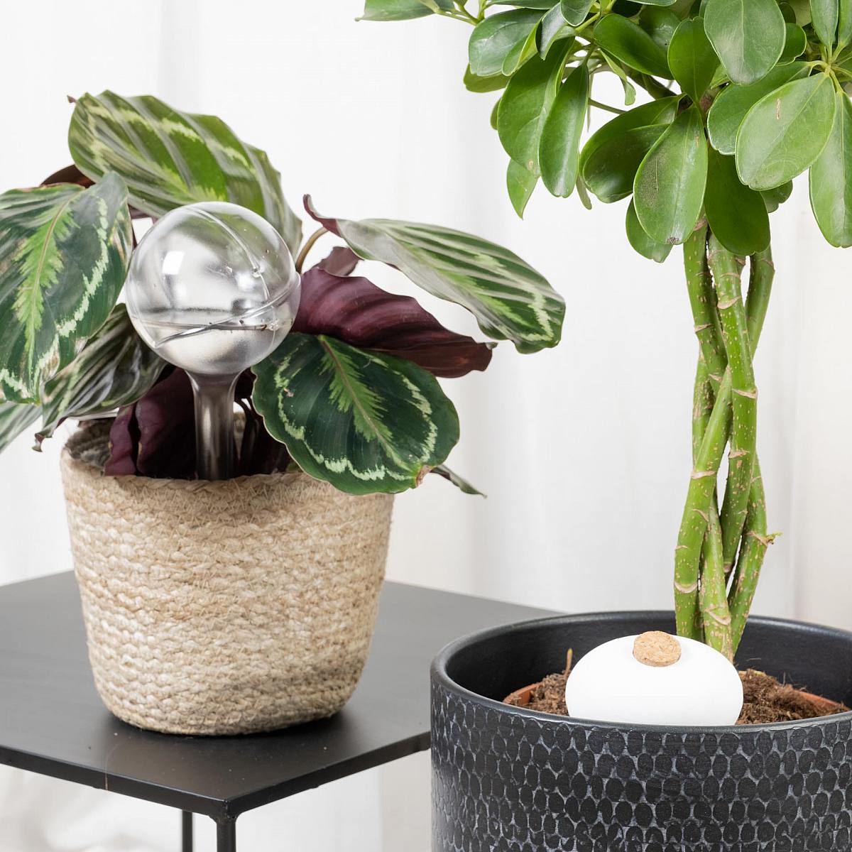 Vandingspakke til ferien picture 2