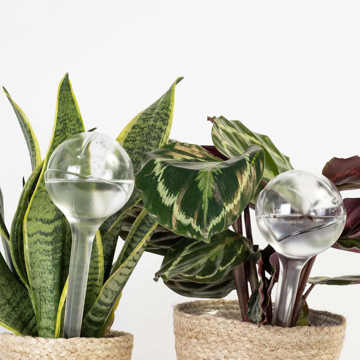 Automatické zavlažování Duo ECO picture 1