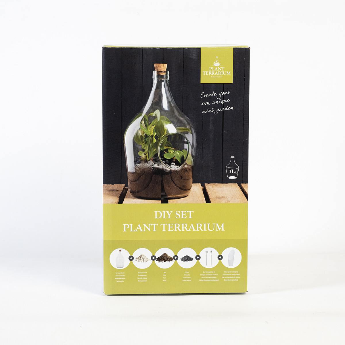 Apollo DIY Terrarium picture 1