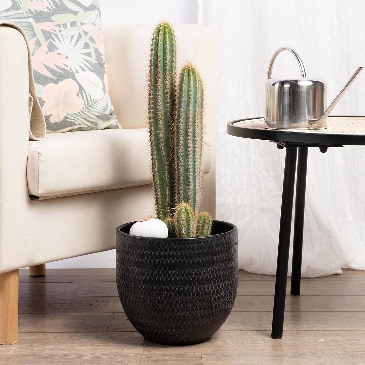 Pilosocereus azureus picture 4