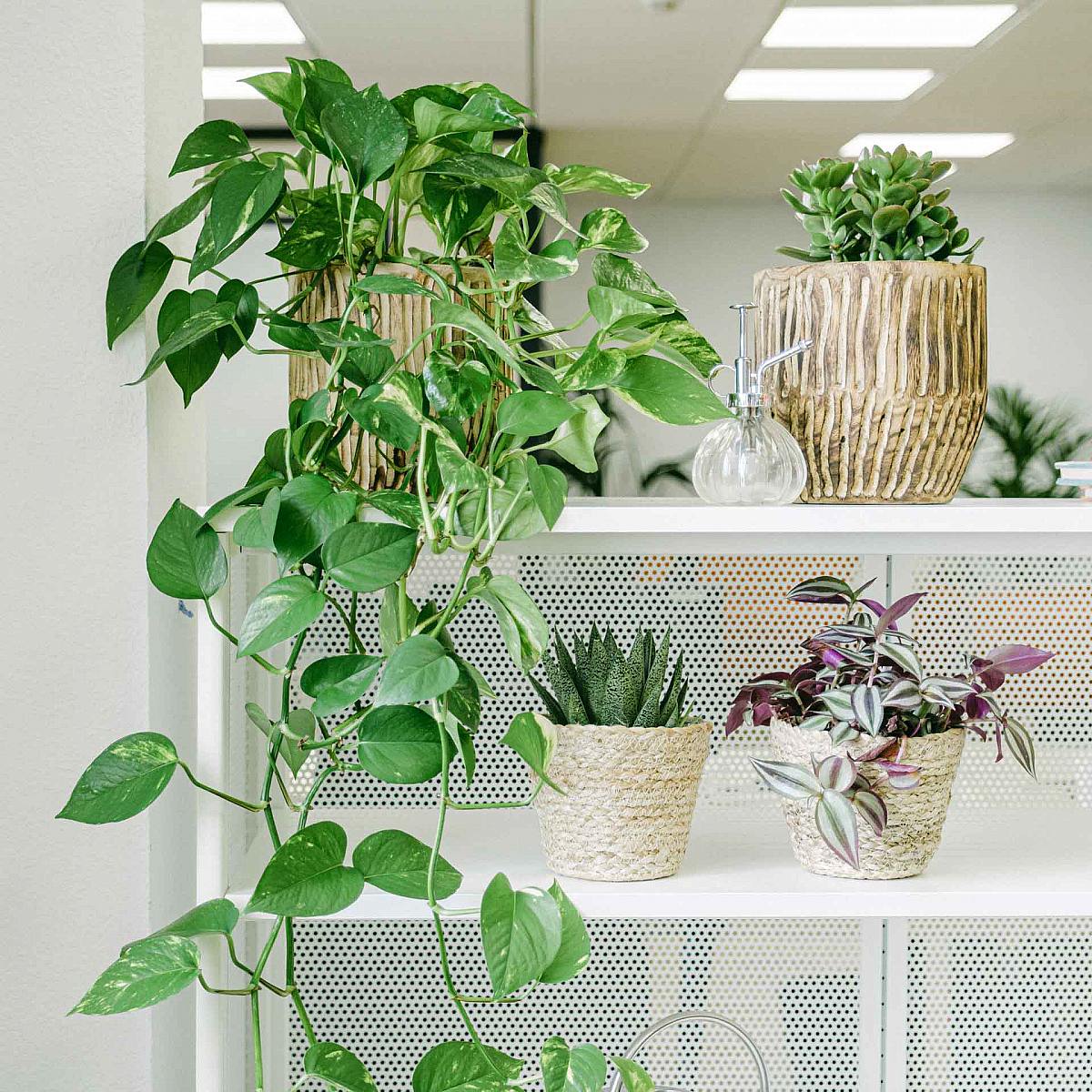 Snadná kancelářská sada picture 8