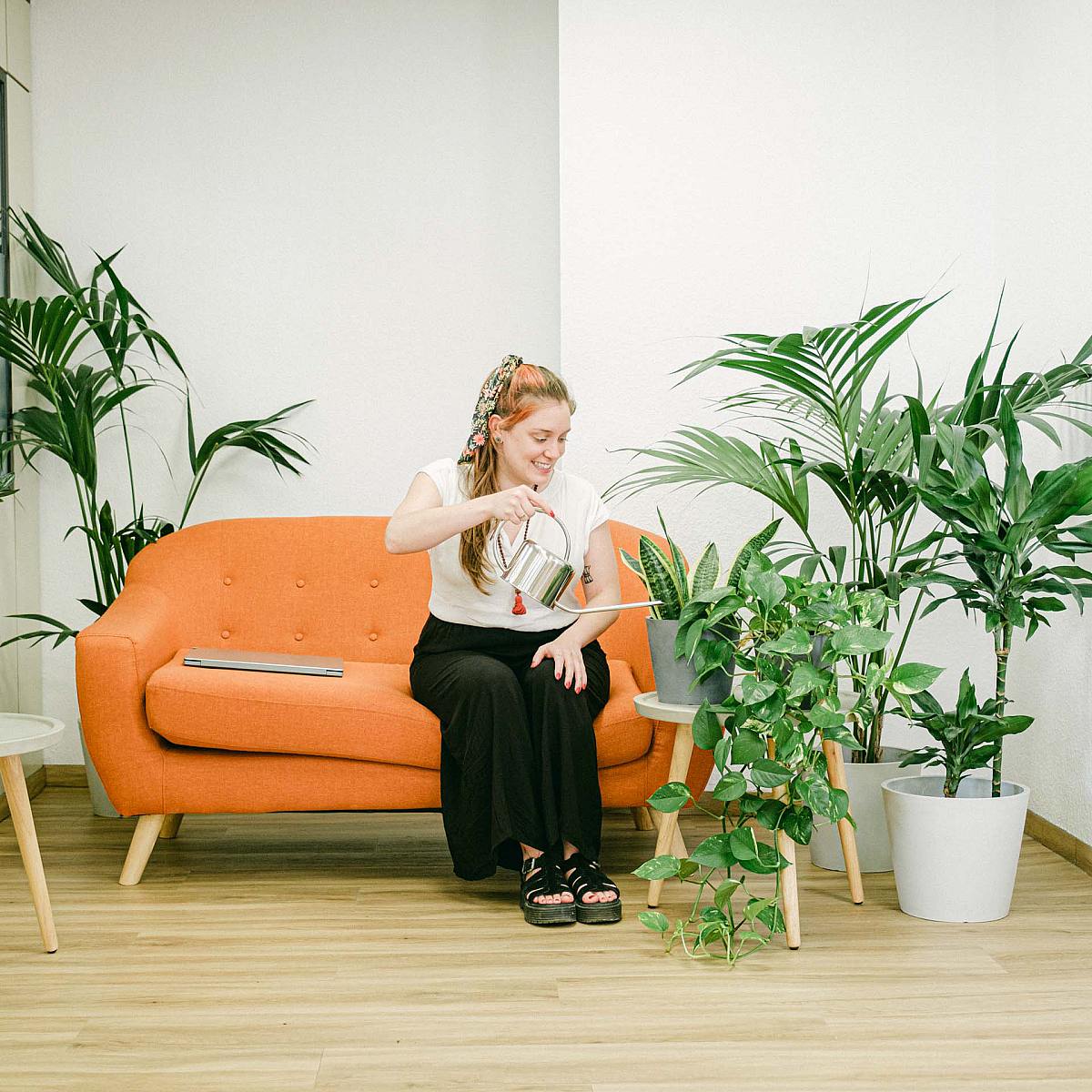 Grønt frodigt sæt picture 1