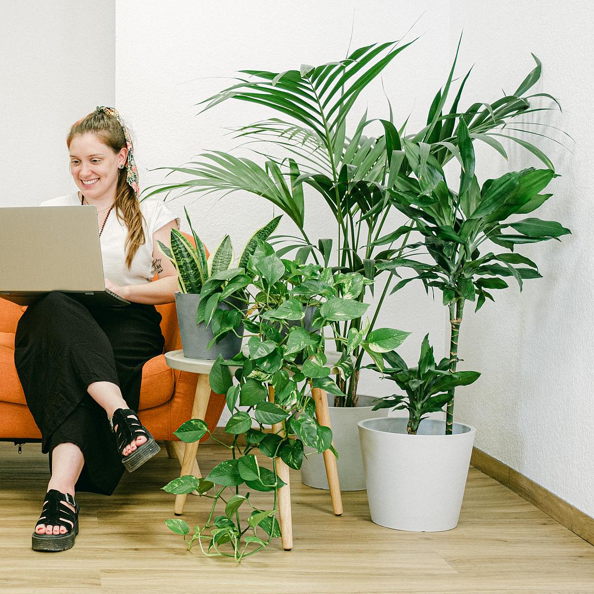 Grønt frodigt sæt picture 2