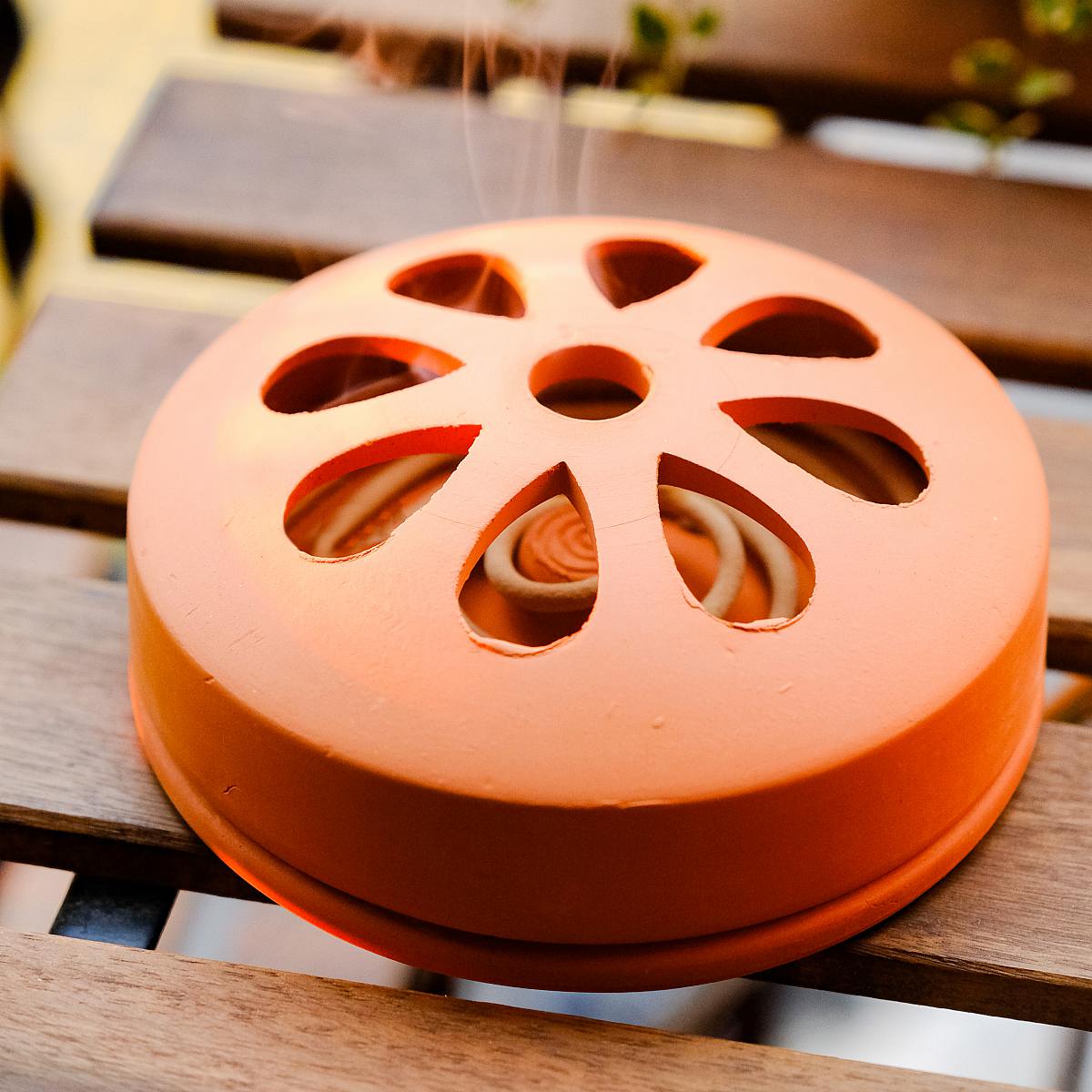 Citronella in Terracotta picture 0